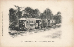 Paris Plage , Le Touquet * Le Tramway Dans La Forêt * Tram Ligne Chemin De Fer - Le Touquet