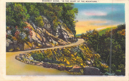 ETATS-UNIS - Roadway Scene - In The Heart Of The Mountains - Carte Postale Ancienne - Sonstige & Ohne Zuordnung