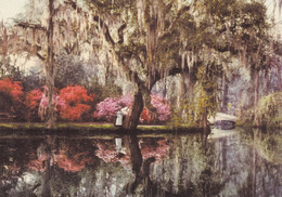 ETATS-UNIS - SOUTH CAROLINA - Charleston - Magnolia On The Ashley Across The Lake - 1901 - Reproduction - Très Bon état - Charleston