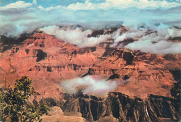 USA Grand Canyon AZ General View - Grand Canyon