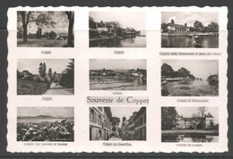 Carte P De 1945 ( Souvenir De Coppet ) - Coppet