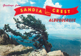 USA Albuquerque NM Greetings From Sandia Crest - Albuquerque