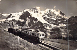 SUISSE - Wengernalpbahn - Lauterbrunnen - Wengernalp - Train - Montagne - Carte Postale Ancienne - Lauterbrunnen