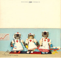 ANIMAUX HABILLES - Trois Petits Chats Sont Habillés En Infirmière - Heureuse Anniversaire  - Carte Postale Ancienne - Geklede Dieren