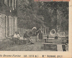 Allevard Les Bains * Le Châlet De Brame Farine Mme REYMOND Propriétaire * Phono Phonographe Gramophone Villageois - Allevard