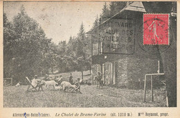 Allevard Les Bains * Le Châlet De Brame Farine Mme REYMOND Propriétaire * Enfants Villageois - Allevard