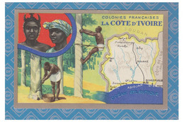 CÖTE D'IVOIRE -- Carte Publicitaire "LION NOIR" --tb - Ivory Coast