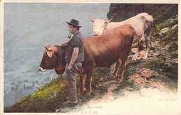 VACHES - Promenade De Vaches Sur L'Alpe  - Carte Postale Ancienne - Cows