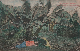 Nouvelle Calédonie - Femme Indigene Au Pied D'un Bananier - Colorisée - RARE - Timbre Taxe - Carte Postale Ancienne - New Caledonia