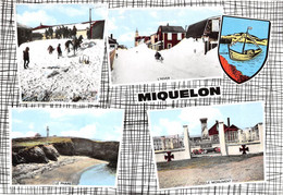 SAINT-PIERRE-et-MIQUELON - L'Hiver - Le Phare - Le Monument Aux Morts - Blason - Photo François Detcheverry - Saint-Pierre-et-Miquelon