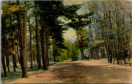 Massachusetts Springfield Road In Forest Park 1911 - Springfield