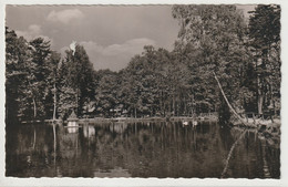 Bad Lippspringe, Fischerhütte Im Kurwald, Nordrhein-Westfalen - Bad Lippspringe