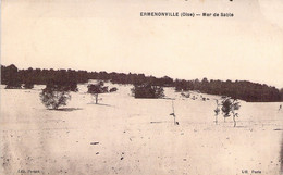 FRANCE - 60 - ERMENONVILLE - Mer De Sable - Edit Pavard - Carte Postale Ancienne - Ermenonville