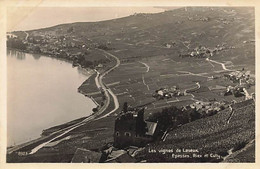 Les Vignes De Lavaux Epesse Riex Et Cully - Cully