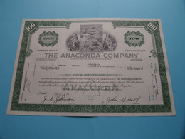 The ANACONDA C° - 100 Shares $ N° N590504 - Anno 1970 > ( See / Voir Scan) USA ! - A - C