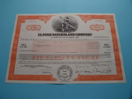 EL PASO NATURAL GAS C° - 25000 - N° R 1011 - Anno 1981 > ( See / Voir Scan) USA ! - Electricité & Gaz