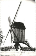 CPSM  Carte Postale  Belgique Wolfsdonk Heimolen 1967 VM64399 - Aarschot