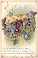 FLEURS - Illustration Non Signée - Pensées Violettes Dans Un Panier Renversé - Carte Postale Ancienne - Flores