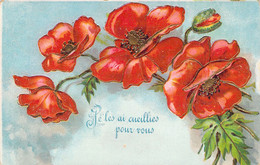 FLEURS - Illustration Non Signée - Coquelicot - Fleurs Rouges - Carte Postale Ancienne - Fleurs