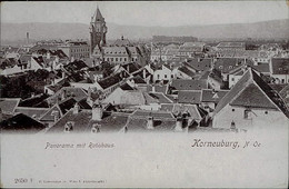 AUSTRIA - KORNEUBURG - PANORAMA MIT RATNHAUS - VERLAG LENDERMANN - 1900s  (16157) - Korneuburg