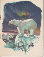 KLM  Menu Along The Polar Route Amsterdam Tokio  With Bear Illustration   Dinner Lunch Breakfast ... 8 Pages - Menus