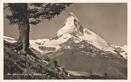 Zermatt Und Matterhorn Le Cervin Von Der Riffelalp Aus - Zermatt