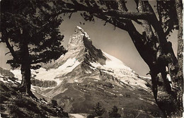 Zermatt  Und Matterhorn Le Cervin Riffelalp 1938 - Zermatt