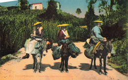 Types Corses * Les Marchandes De Lait * Femmes Du Pays Avec Des ânes * Corse - Other & Unclassified