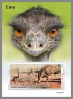 SIERRA LEONE 2022 MNH Emu Emeu S/S - OFFICIAL ISSUE - DHQ2310 - Struzzi