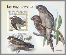 TOGO 2022 MNH Nightjars Nachtschwalben Engoulevents S/S I - OFFICIAL ISSUE - DHQ2310 - Rondini