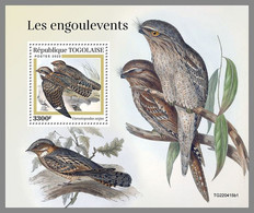 TOGO 2022 MNH Nightjars Nachtschwalben Engoulevents S/S I - OFFICIAL ISSUE - DHQ2310 - Schwalben