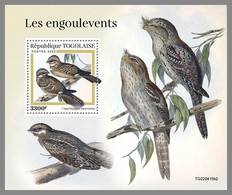 TOGO 2022 MNH Nightjars Nachtschwalben Engoulevents S/S II - OFFICIAL ISSUE - DHQ2310 - Golondrinas