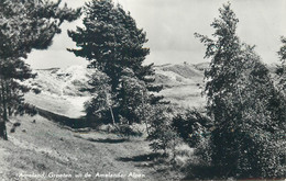 Postcard Netherlands Ameland Hotel Steinvoorte - Ameland