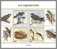 TOGO 2022 MNH Nightjars Nachtschwalben Engoulevents M/S - IMPERFORATED - DHQ2310 - Hirondelles