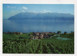 AK 121268 SWITZERLAND - Rivaz - Rivaz