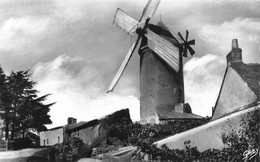 Ancenis * St Geron * Le Petit Moulin à Vent De St Géréon * Molen - Ancenis