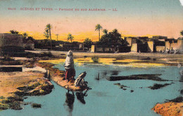 ALGERIE - Scène Et Types - Paysage Du Sud Algérien - Carte Postale Ancienne - Other & Unclassified