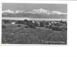 Bassins Et Le Mont-Blanc. - Bassins