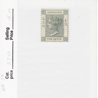7707) Hong Kong 1900 Mint No Hinge - Nuovi