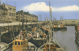 Scotland Lossiemouth Harbour View - Moray