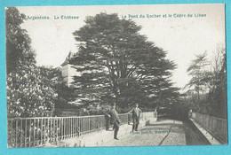 Delcampe - * Argenteau - Wezet Visé (Liège - La Wallonie) * (Photo Breuls Herstal) Le Chateau, Pont Du Rocher Et Cèdre Du Libon - Visé