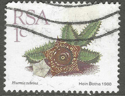 South Africa. 1988 Succulents. 1c Used. SG 654 - Used Stamps