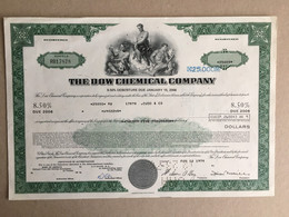 Actions Ordinaires Participations Common Stock Shareholdings Stammaktien Beteiligungen The Dow Chemical Company 1978 - Industrie