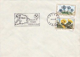 MINERS, MINING, MINERALS, SPECIAL POSTMARK ON COVER, FLOWERS STAMPS, 1987, ROMANIA - Minéraux