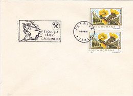 MINER, MINING, MINERALS, SPECIAL POSTMARK ON COVER, FLOWERS STAMPS, 1987, ROMANIA - Minéraux