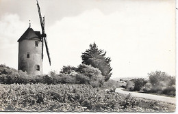 BOURGNEUF   - ( 44 ) -  Le Moulin De  L'arzelier   ( C . P. S. M -Pt -Ft ) - Bourgneuf-en-Retz