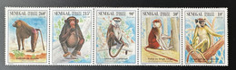 Sénégal 1996 Mi.1447 - 1451 Faune Fauna Singes Monkeys Affen Primates RARE MNH - Mono