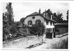 Le Chenevier. - Commugny. - Commugny