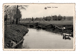 Tubize La Senne - Tubize