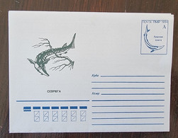 UKRAINE Poissons, Poisson, Fish, Pescado, Esturgeon étoilé Entier Postal Emis En 1994 - Vissen